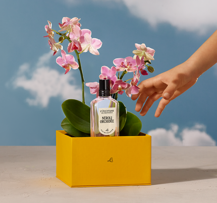 Invigorating and Floral Fragrances For Women & Men | L'Occitane en